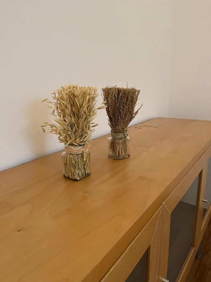Ferienwohnung Schennach 오브스테이그 외부 사진